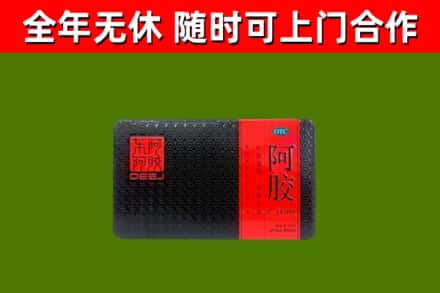 格尔木市回收阿胶
