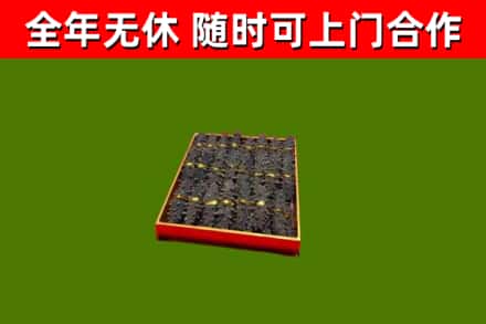 格尔木市回收海参